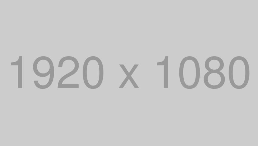 Building a Strong Brand Identity: Standing Out from the Crowd